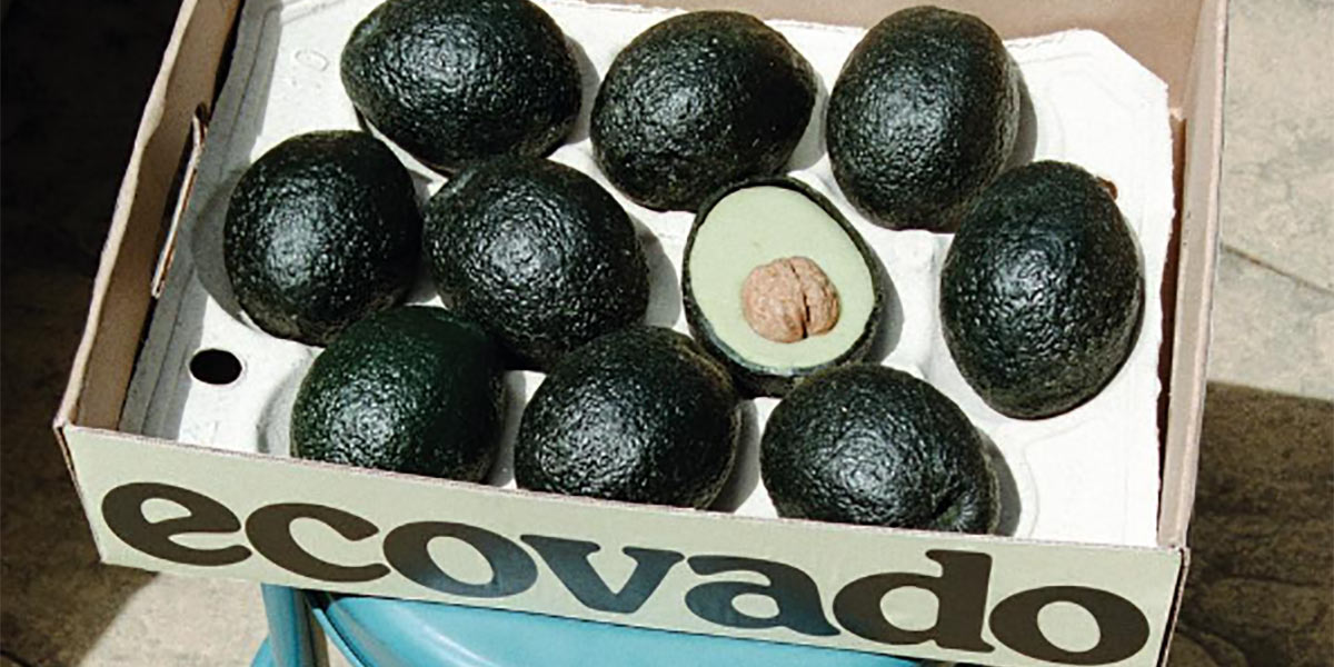 Ecovado, l'avocado "fake" che sposa la sostenibilità